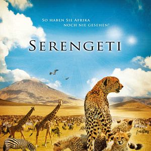 Bilder Serengeti