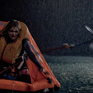 Bilder Reykjavik Whale Watching Massacre