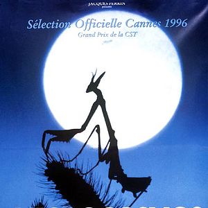 Bilder Mikrokosmos - Das Volk der Gräser