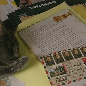 Bilder Stéphane Mercurio