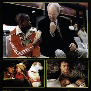 Bilder Nachtgestalten