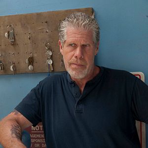 Bilder Ron Perlman