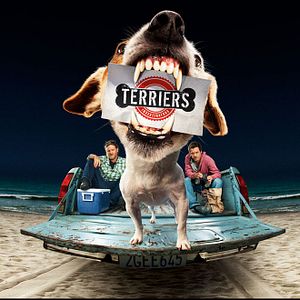 Bilder Terriers