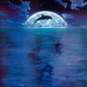 Bilder Im Rausch der Tiefe