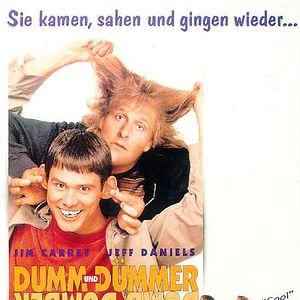 Bilder Dumm und Dümmer