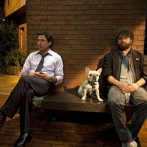 Bilder Robert Downey Jr.