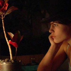 Bilder Roisin Grieco