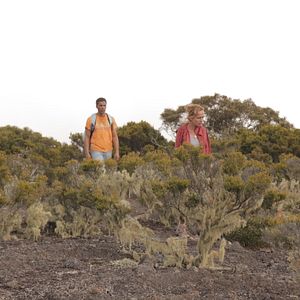 Bilder Sandrine Bonnaire