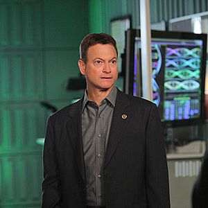 Bilder Gary Sinise