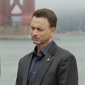 Bilder Gary Sinise