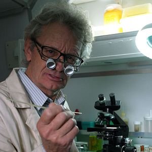 Bilder Mario Pecqueur