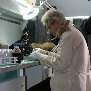 Bilder Mario Pecqueur