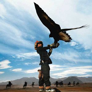 Bilder Eagle hunter’s son