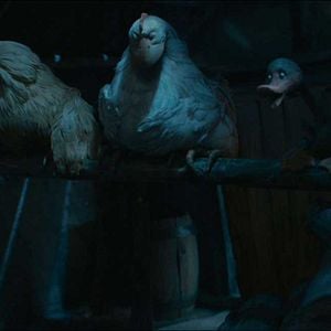 Bilder Gadkii Utenok