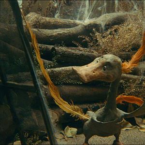 Bilder Gadkii Utenok