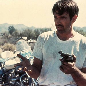 Bilder Electra Glide in Blue