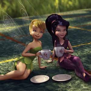 Bilder Bradley Raymond