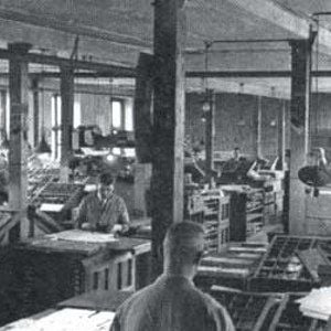 Bilder Zwiebelfische