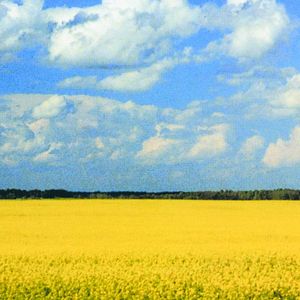 Bilder Gekaufte Wahrheit - Wissenschaft im Magnetfeld des Geldes