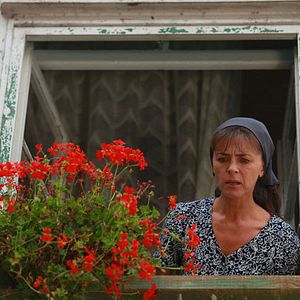 Bilder Cirkus Columbia