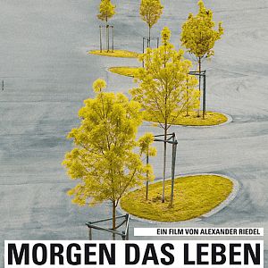 Bilder Morgen das Leben