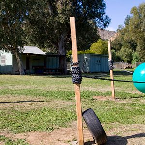 Bilder Jeff Tremaine