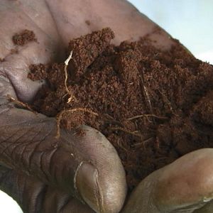 Bilder Good Food, Bad Food - Anleitung für eine bessere Landwirtschaft