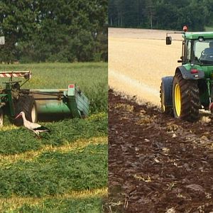Bilder Good Food, Bad Food - Anleitung für eine bessere Landwirtschaft