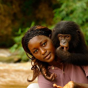 Bilder Benny - Allein im Wald
