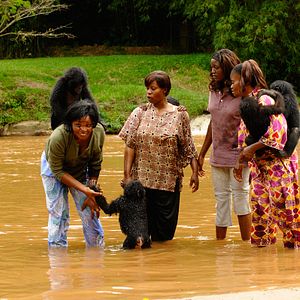 Bilder Benny - Allein im Wald