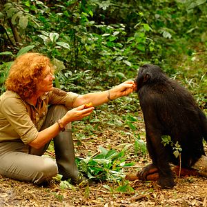 Bilder Claudine André