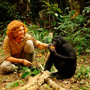 Bilder Claudine André