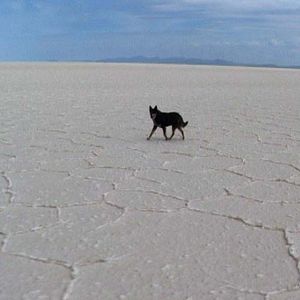 Bilder La Tentation de Potosi