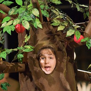 Bilder Gregs Tagebuch - Von Idioten umzingelt!