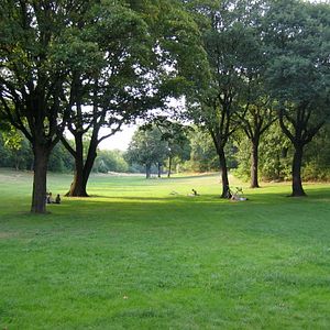 Bilder Berlin: Hasenheide