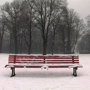 Bilder Berlin: Hasenheide