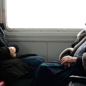 Bilder Die Frau mit den 5 Elefanten