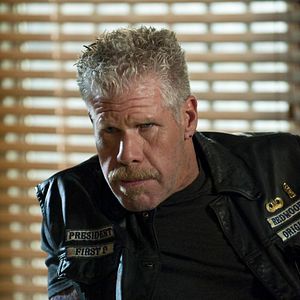 Bilder Ron Perlman