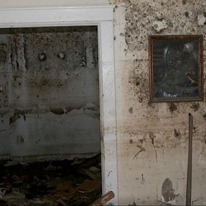 Bilder The Sound After The Storm