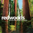 Bilder Redwoods