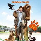 Bilder Reine Fellsache