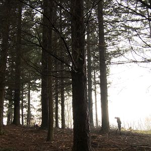Bilder Chasse à l'homme