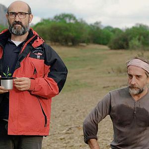 Bilder ¿Para qué sirve un oso?