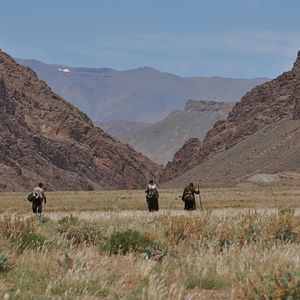 Bilder The Way Back - Der lange Weg