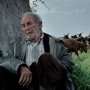 Bilder Michelangelo Frammartino