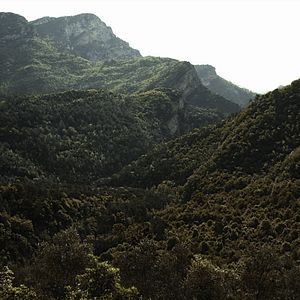 Bilder Sons of Chaos