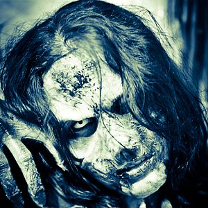 Bilder Stephen Meret