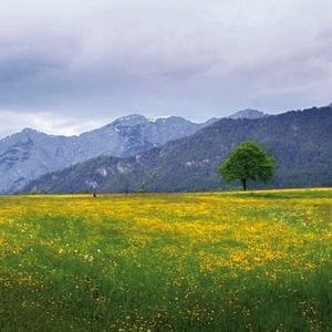 Bilder Am Anfang war das Licht