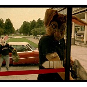 Bilder A day in a life