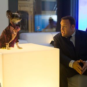 Bilder Der Zoowärter